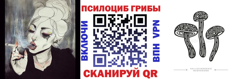 Псилоцибиновые грибы Cubensis  Купить где  Курчатов 